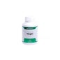 Holofit ginkgo 180cáps