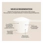 Ndl Pro-Health Muscle Regeneration 2:1:1 Frutos del Bosque 300g
