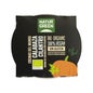 Naturgreen Abóbora Orgânica e Creme de Coentro 310 G