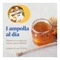 Arkoreal Royal Jelly Premium Geleia Real Fresca Açúcar Geleia Real Sem açúcar 20 ampolas