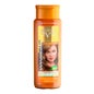 Champô Louro Colorido NaturVital 300ml
