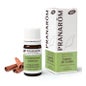PranarÌ «m Ceilão óleo essencial de canela 5ml