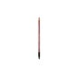 Rougj Etoile Perfilador De Labios Nude 1,2g