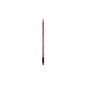 Rougj Etoile Perfilador De Labios Nude 1,2g