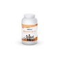 Etixx Recuperação Shake Framboesa / Kiwi 1500g