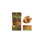 Biok Tinte Delic 7.33 Rubio Golden Wheat