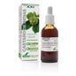 Soria Extracto Natural de Castanha de Cavalo XXI 50ml