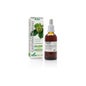 Soria Extracto Natural de Castanha de Cavalo XXI 50ml