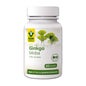 Raab Vitalfood Ginkgo Biloba Bio 60caps