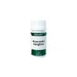 Holofit Ayurveda gengibre 50cáps
