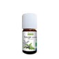 Propos Nature Aceite Esencial de Salvia de Clarión 5ml