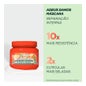 Garnier Fructis Goodbye Máscara de Danos 300ml