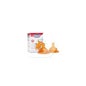 Tetina normal de silicone Chicco regulável + 4M 2uds