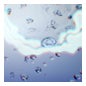 Insti Eau Cellulaire Brum100Ml