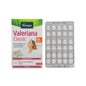 Kneipp Valeriana Classic 60 Beringelas