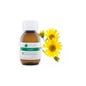 Voshuiles Arnica Flower Óleo Vegetal 100ml