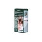 Herbatint golden brown 1 kit