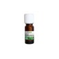 Proposta Óleo Essencial Orgânico da Natureza Hortelã Pimenta 10ml