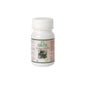 Ginko Biloba 700 Mg Sotya 100 Comprimidos