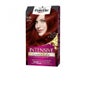 Paleta Schwarzkopf Tinta Intensiva N6.88 Ruby Red 1pc