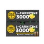Gold Nutrition L Carnitina 3000 mg 20 frascos