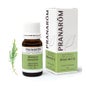 Árvore de Chá Pranarôm 10ml