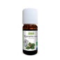 Óleo Essencial de Abeto Negro Orgânico da Natureza 10ml