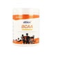 Etixx Bcaa Taste Em Pó Laranja-manga 300 Gr