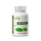Sotya Green Coffee 600mg 90cáps