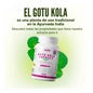 HSN Extracto de Gotu Kola 65:1 150mg 120vcaps