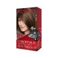 Revlon Colorsilk 41 Kit de Soro de Cor Castanho Médio