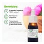 Soria Extracto de Cardo de Leite Natural 50ml