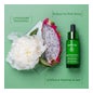 Apivita Novo Soro Radiante para Abelhas 30ml