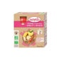 Babybio My Fruits Apple Gourd Apricot Banana Banana Orgânica 6 meses 4x90g