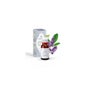 Névoa Esencial Aromatica Dormir 15ml