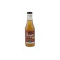 Xarope de Gengibre Terrasana Bio 250 Ml