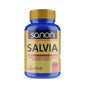 Sanon Salvia 100 tabs. 500 mg