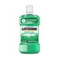 Listerine Dente e Protecção de Goma 250ml