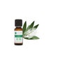 Voshuiles Cajuput Óleo Essencial 10ml