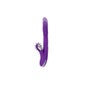 Função Fun Funny Bunny Up Funny Down 2.0 1ud