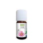 Proposta Nature Óleo Essencial Orgânico Cistus 5ml