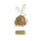 HSN Extracto de Bacopa 25:1 500mg 120vcaps