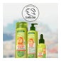 Garnier Fructis Vitamin Force Champú 360ml