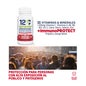 12 Defesas +ImmunoProtect 60caps