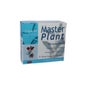 Planta Mestre Harpagofito 10 10 Ml Ampolas