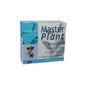 Planta Mestre Harpagofito 10 10 Ml Ampolas