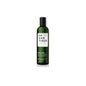 Lazartigue Rebalance Balancing Shampoo 250Ml