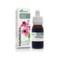 Extracto Equinacea Xxi 50 Ml Soria Natur
