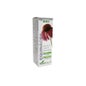 Extracto Equinacea Xxi 50 Ml Soria Natur