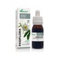 Extracto Pasiflora Xxi 50 Ml Soria Natur